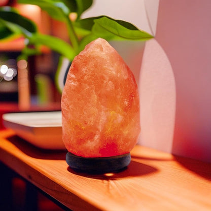 Himalayan Dimmable, Natural Himalayan Crystal Rock Salt Lamp Pink Light, Hand Crafted Wooden Base Direct from Foothills of The Himalayas Home Decor, Night Light & Gifts