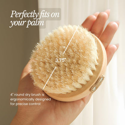 Bare Botanics 17" Dry Brushing Body Brush - Medium Firmness, Natural Color & Silicone Grip - Extra Long Bath Brush - Ergonomic Curved Handle Design w/Hang Rope - Back Scrubber for Shower