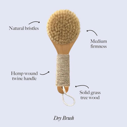 Esker Dry Brush | Lymphatic Drainage Massager and Exfoliating Body Scrubber | Body Scrubber Exfoliator | Natural Bristles | Daily Shower and Bath Ritual