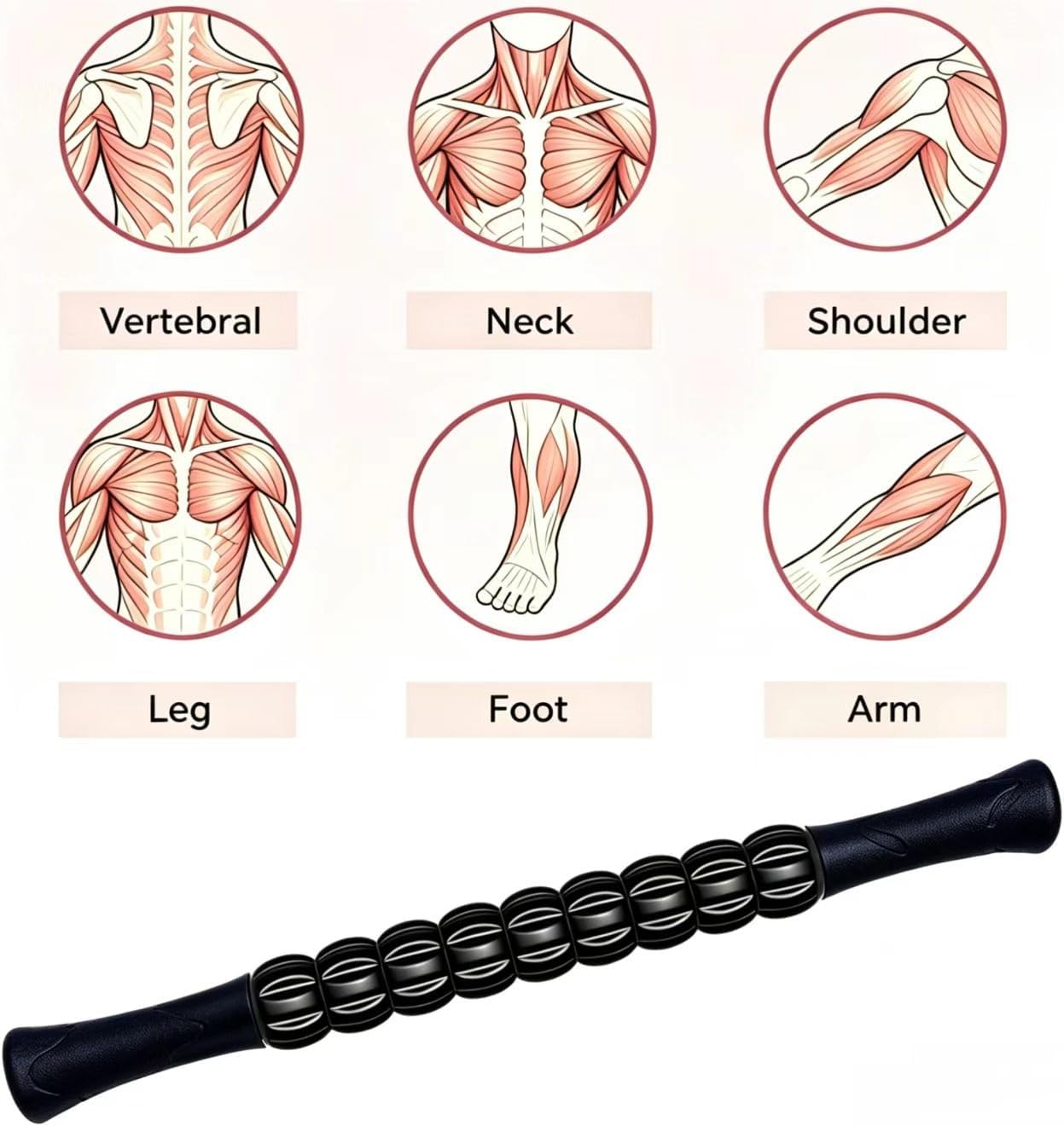 Muscle Roller Stick - A Full-Body Massage Roller that Can Relieve Muscle Soreness, Cramps and Tension After Exercise. It is a Handheld Physical Therapy and Recovery Tool（Black and Purple）