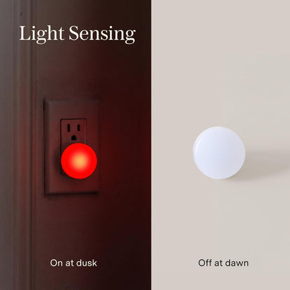 Loftie Night Lights Plug into Wall - 0.5W Plug in Night Light - Warm Amber Glow, Wall Light Sensing Dusk to Dawn - 2000K, UL Certified - Nightlight for Bathroom, Hallway, Bedroom Decor, Kitchen,3-Pack
