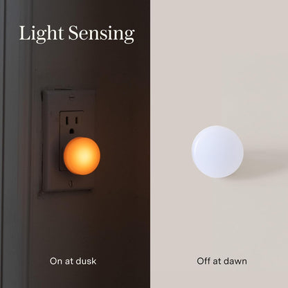 Loftie Night Lights Plug into Wall - 0.5W Plug in Night Light - Warm Amber Glow, Wall Light Sensing Dusk to Dawn - 2000K, UL Certified - Nightlight for Bathroom, Hallway, Bedroom Decor, Kitchen,3-Pack