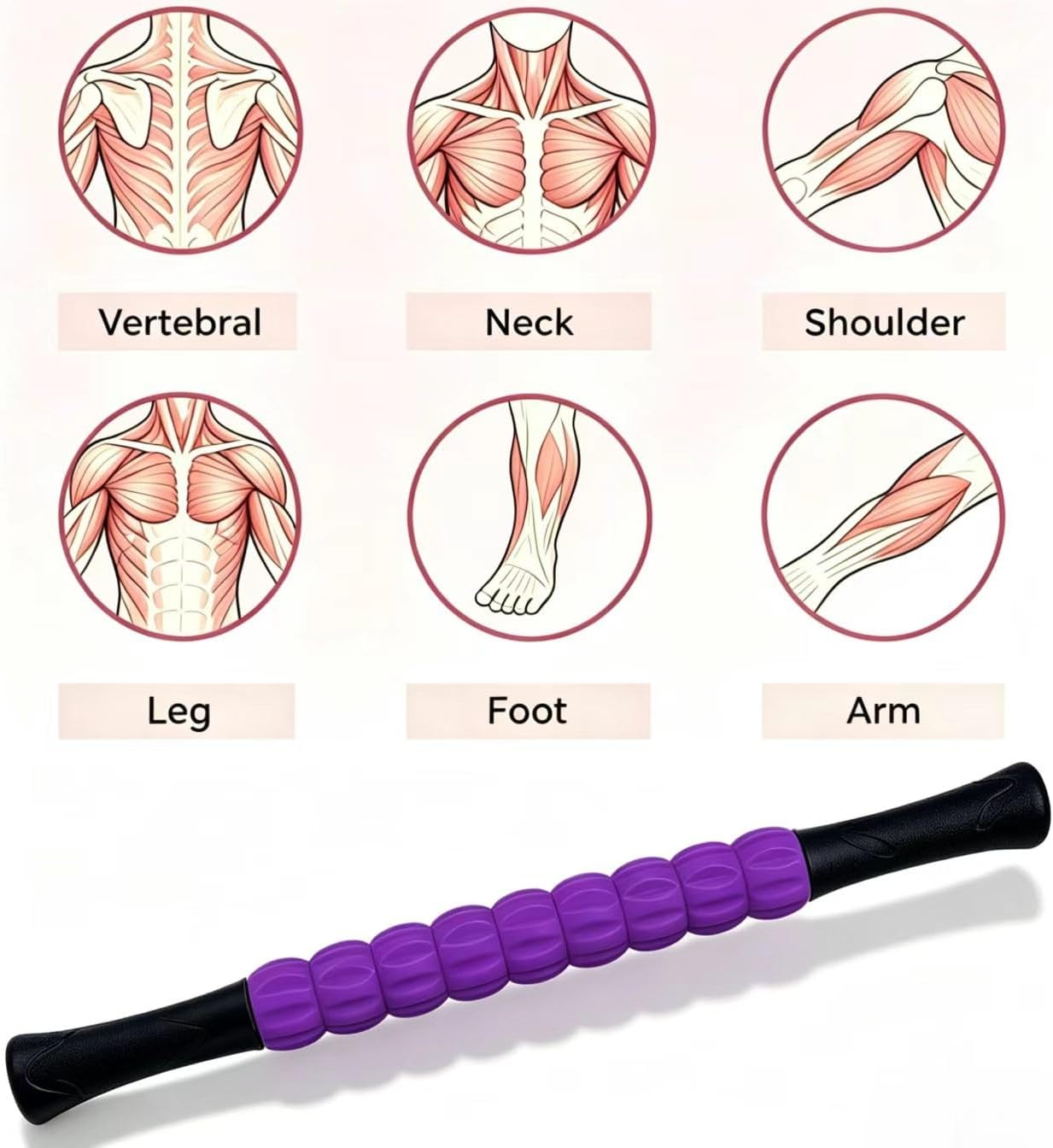 Muscle Roller Stick - A Full-Body Massage Roller that Can Relieve Muscle Soreness, Cramps and Tension After Exercise. It is a Handheld Physical Therapy and Recovery Tool（Black and Purple）
