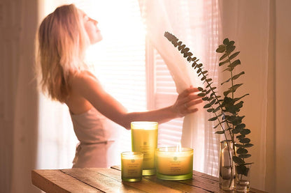 Chesapeake Bay Candle Scented Candle Serenity + Calm (Lavender Thyme) Coffee Table Home Décor