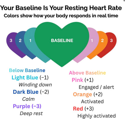 The Dome Biofeedback Light — A Mood Ring for Your Heart | See Heart Rate Changes in Color | Nervous System Awareness, Breathing & Recovery Practice | Includes App and Wearable Sensor
