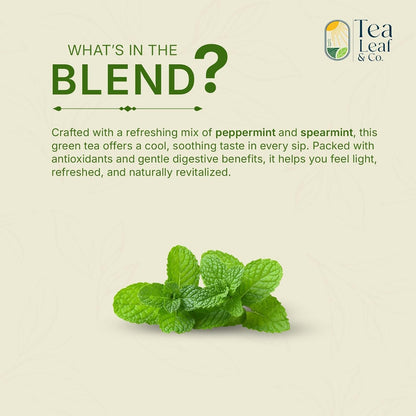 Mint Green Tea (3.5oz / 100gm), Natural Herbal Infusion, 50 Tea Bags