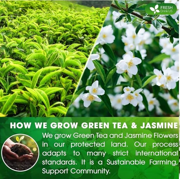 60 Jasmine Green Tea Bags, 100% Natural Ingredients Herbal Tea, Individually Wrapped Seal, Blend for Wellness, Vegan, No Sugar,Floral Smoothness, Caffeinated,, Boost Immunity & Rich in Antioxidants. (Jasmine + Green Tea)