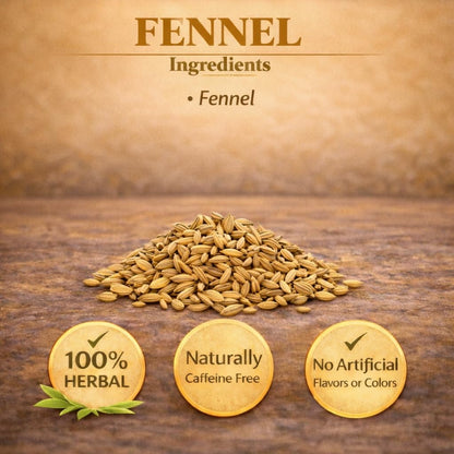 Tisan Fennel Herbal Tea – 40 Individually Wrapped Tea Bags | Naturally Sweet Aromatic Seeds | Caffeine Free Gentle Infusion | Smooth Flavor for After-Meal Comfort | Premium Herbal Ritual for Daily Wellness