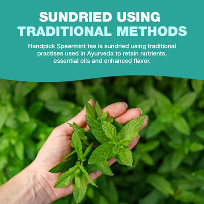 HANDPICK Spearmint Tea (100 Tea Bags) Fresh Natural Mint Leaves, Non GMO