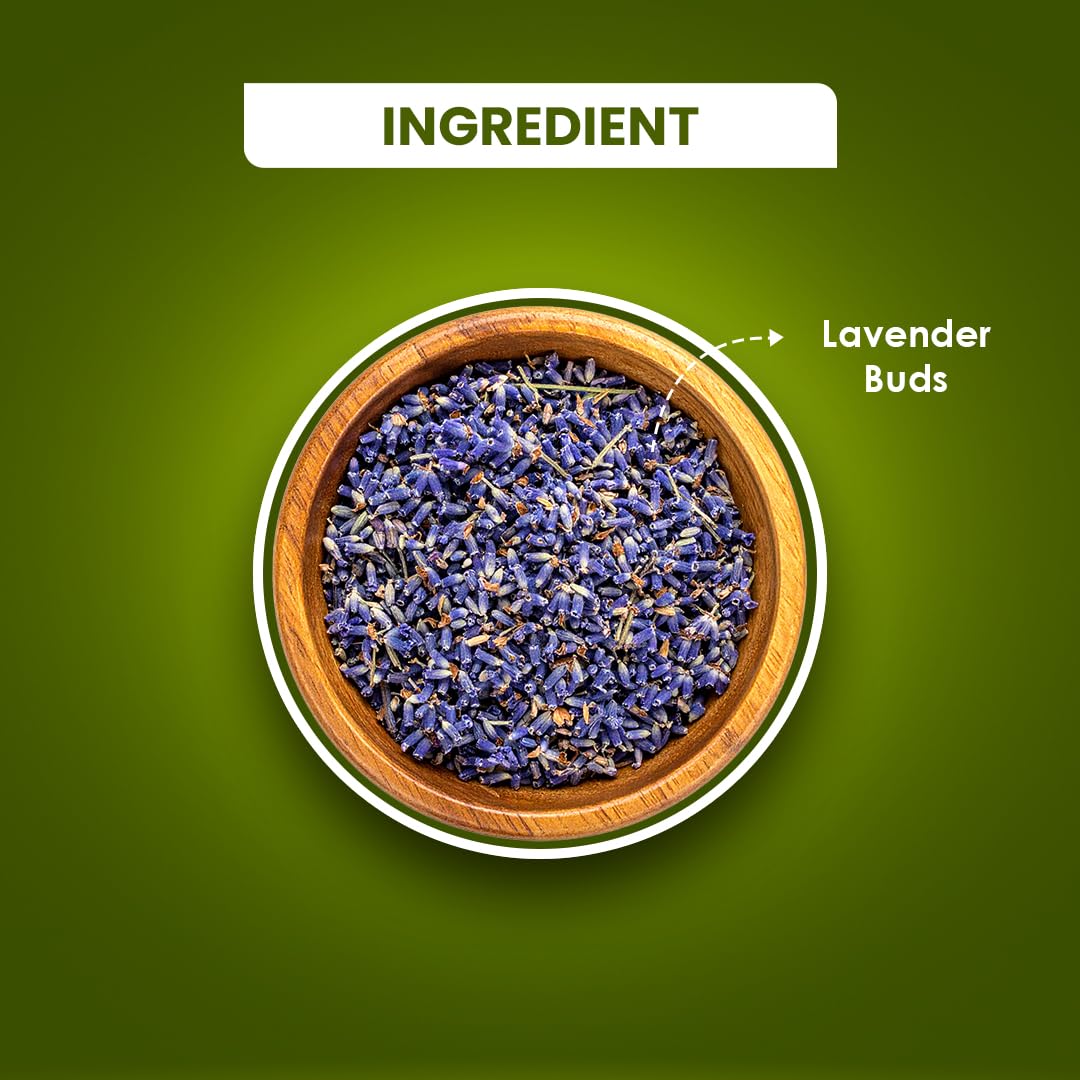 BLUE TEA - Lavender Tea - 1.05 Oz (30+ Cups) Loose | Relaxation & Stress Relief | Calming Tea | Caffeine Free - Herbal Tea - Flower Based - Natural - Non-Bitter | Reusable Pet Jar