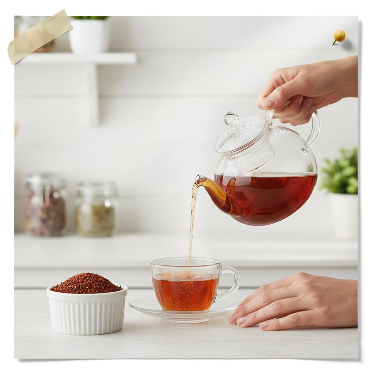 Fermentaholics Rooibos Tea – 4 oz – USDA Certified Organic Loose Leaf – Naturally Caffeine-Free – Great for Kombucha Brewing, Hot or iced tea
