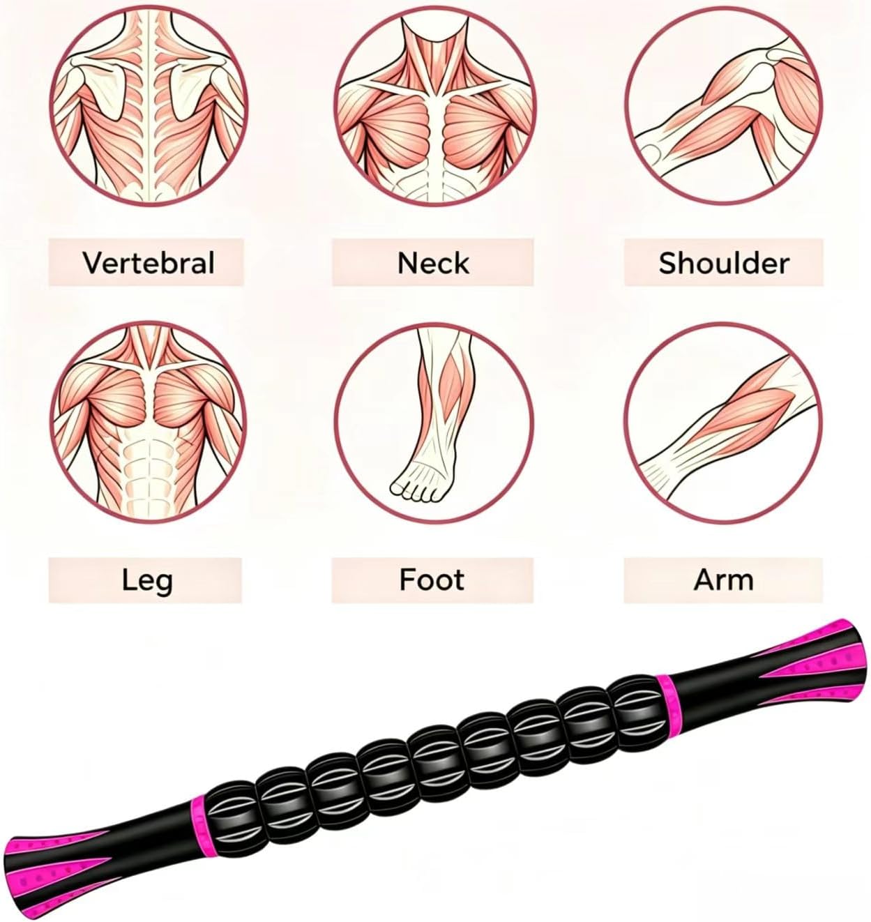 Muscle Roller Stick - A Full-Body Massage Roller that Can Relieve Muscle Soreness, Cramps and Tension After Exercise. It is a Handheld Physical Therapy and Recovery Tool（Black and Purple）
