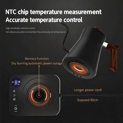 Gooseneck Electric Kettle,Pour Over Kettle for Coffee and Tea,Intelligent Temperature Control,Quick Heating,Keep Warm Function,1200W/0.9L (Black)