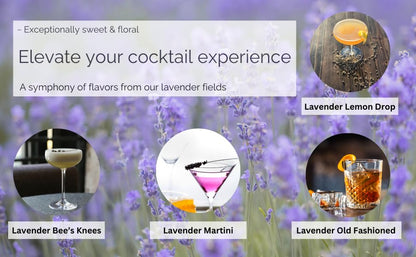 Lavender Lane Lavender Syrup, 9 oz - USA Lavender Farm, Organic Lavender, Small Batch, For Coffee, Tea, Cocktails, Cooking