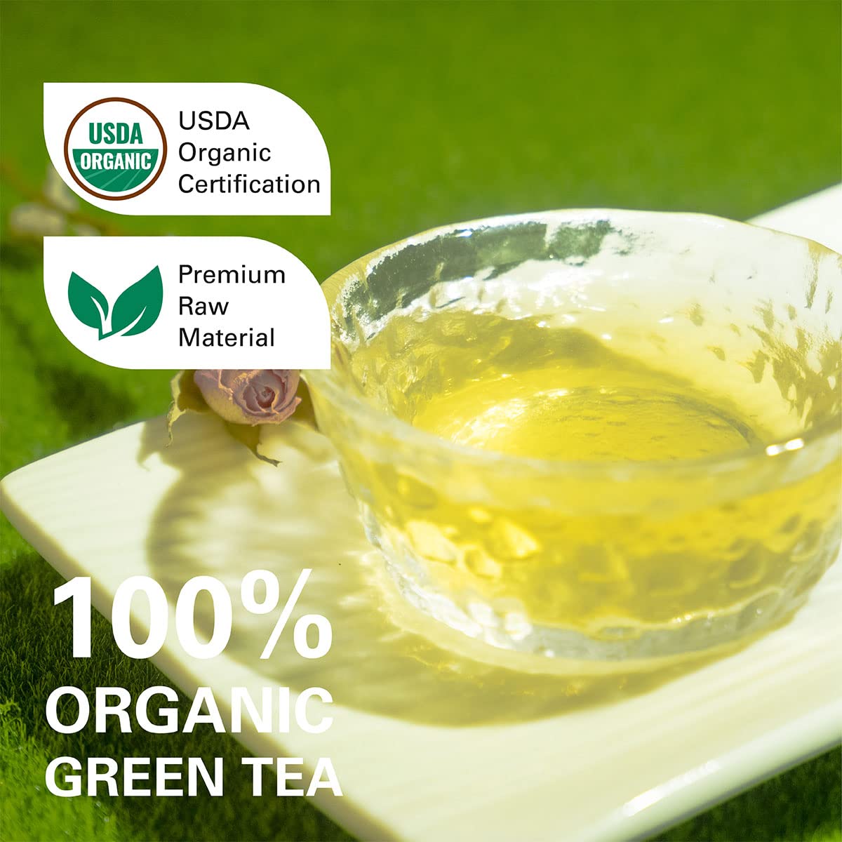 WT WEETEE Organic Green Tea Bags 100ct, Caffeinated & Super Antioxidant