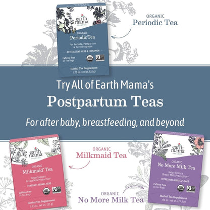Earth Mama Organic Elderberry Immune Support Tea with Echinacea | Safe For Pregnancy, Breastfeeding, Postpartum, Kids and Family Essentials, Decaf Tea with Ginger & Rooibos, 16-Count (3-Pack)