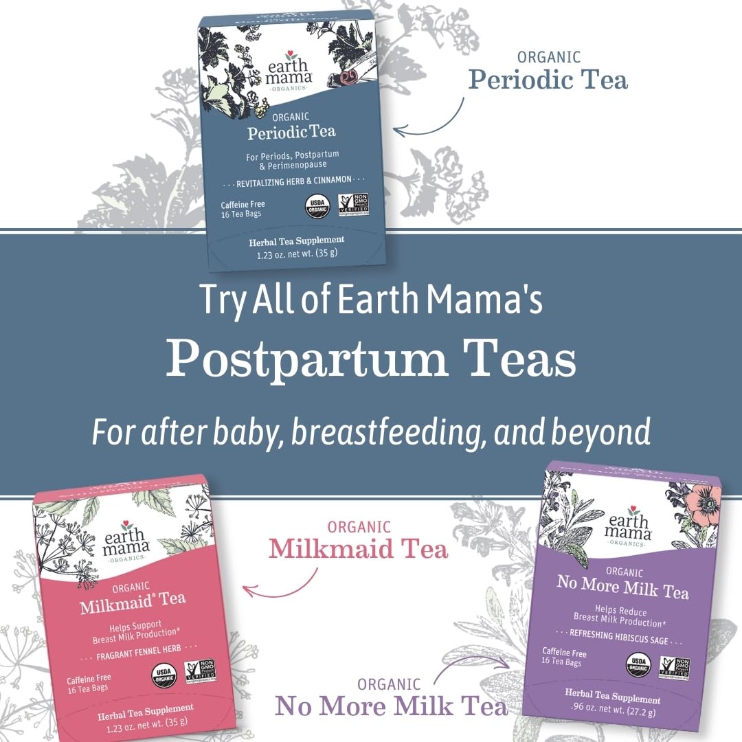 Earth Mama Organic Elderberry Immune Support Tea with Echinacea | Safe For Pregnancy, Breastfeeding, Postpartum, Kids and Family Essentials, Decaf Tea with Ginger & Rooibos, 16-Count (2-Count)