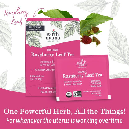 Earth Mama - Organic Raspberry Leaf Tea - 48 Teabags