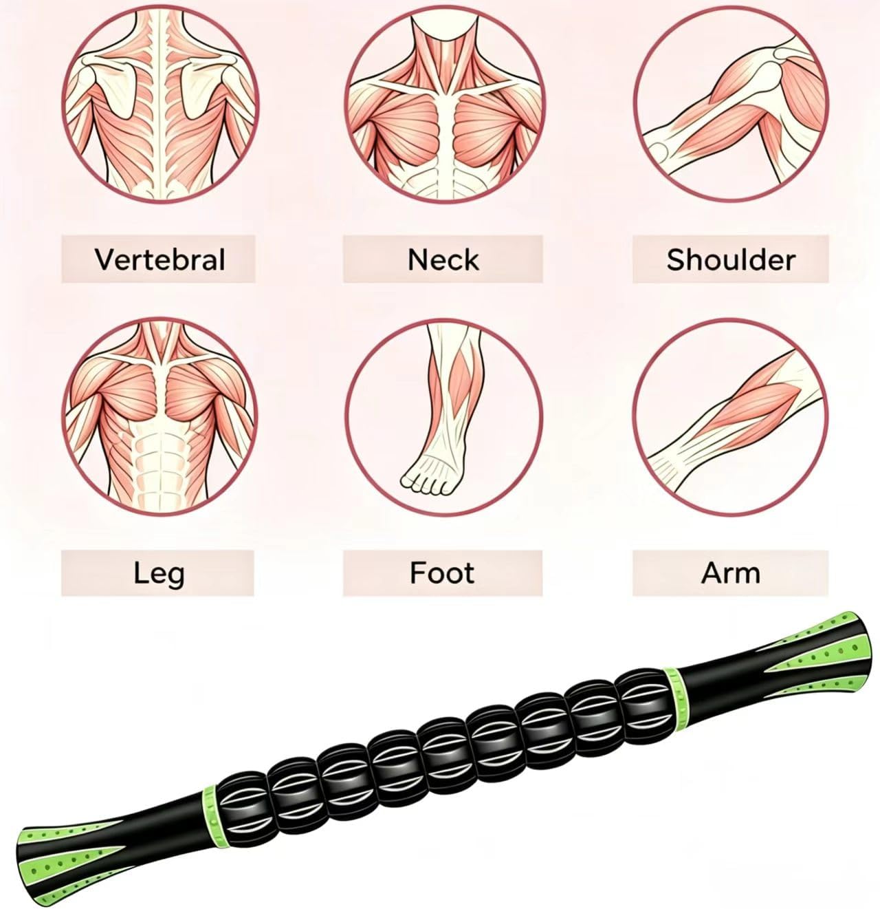 Muscle Roller Stick - A Full-Body Massage Roller that Can Relieve Muscle Soreness, Cramps and Tension After Exercise. It is a Handheld Physical Therapy and Recovery Tool（Black and Purple）