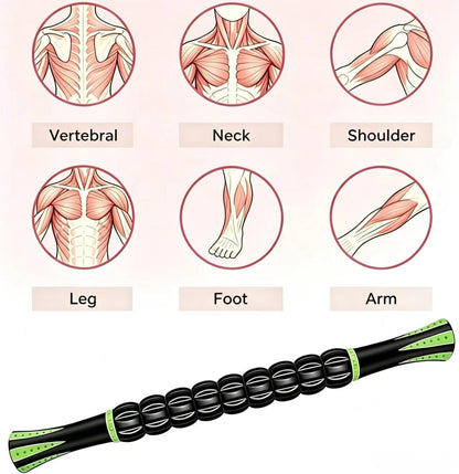 Muscle Roller Stick - A Full-Body Massage Roller that Can Relieve Muscle Soreness, Cramps and Tension After Exercise. It is a Handheld Physical Therapy and Recovery Tool（Black and Purple）