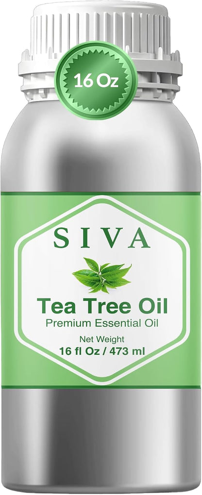 Siva Lavender Essential Oil, Huge Bottle, Large Size, 16 Fl Oz (473 ml)