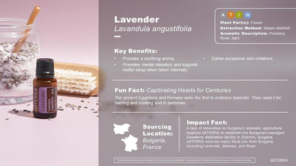 doTERRA Lavender Essential Oil - 15 ml (Lavender)