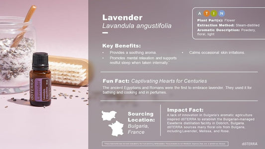 doTERRA Lavender Essential Oil - 15 ml (Lavender)