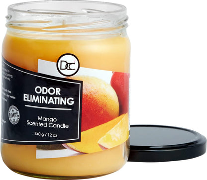 Vanilla Bean Odor Eliminating Highly Fragranced Candle - Eliminates 95% of Pet, Smoke, Food, and Other Smells Quickly - Up to 80 Hour Burn time - 12 Ounce Premium Soy Blend - Colors B
