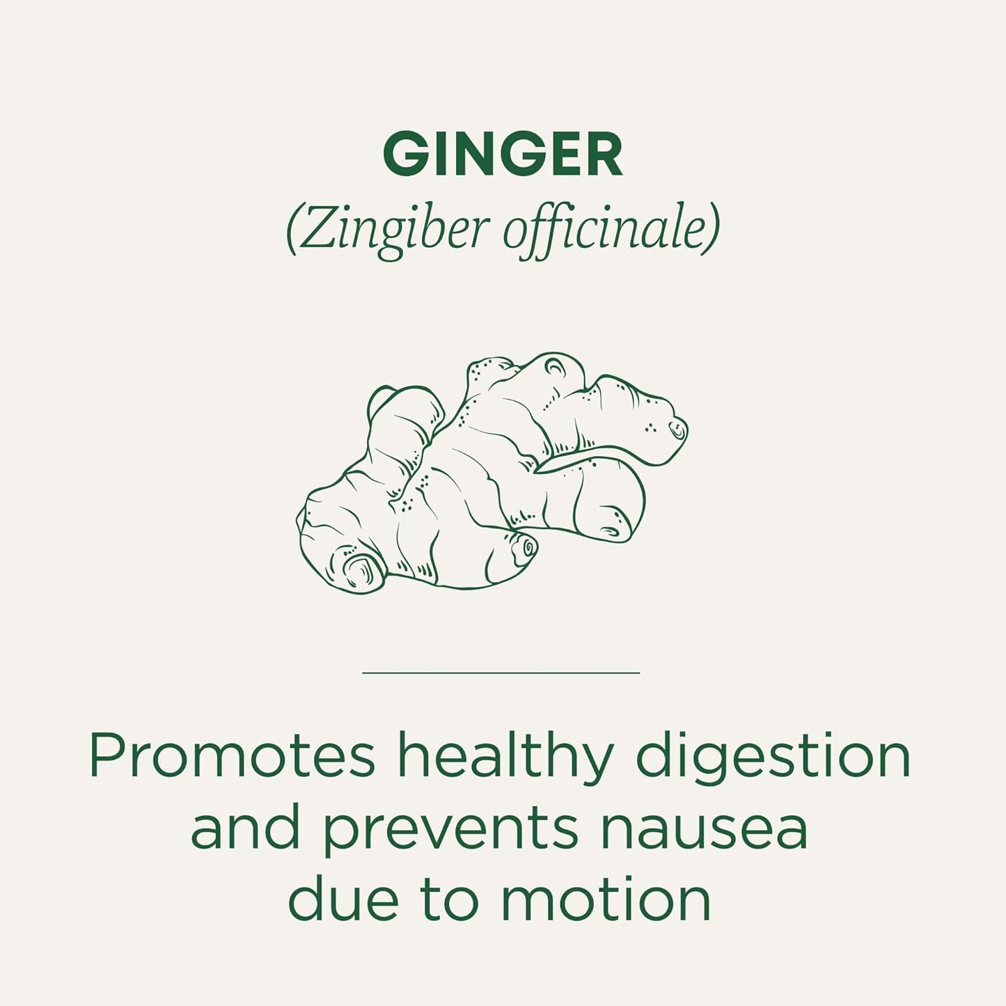 Traditional Medicinals Tea, Organic Ginger, Healthy Digestion, Pleasantly Spicy & Warming, 16 Tea Bags