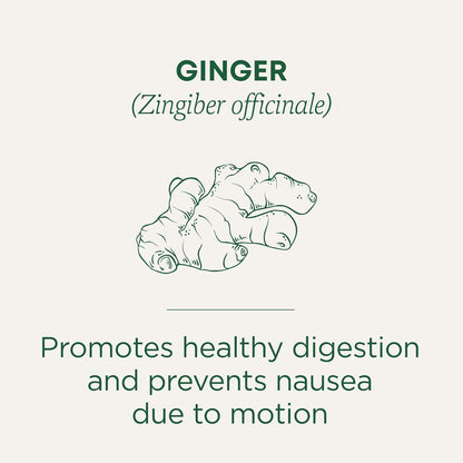 Traditional Medicinals Tea, Organic Ginger, Healthy Digestion, Pleasantly Spicy & Warming, 16 Tea Bags