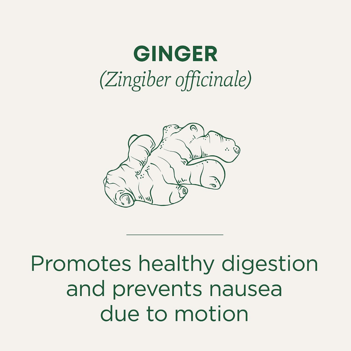 Traditional Medicinals Tea, Organic Ginger, Healthy Digestion, Pleasantly Spicy & Warming, 16 Tea Bags
