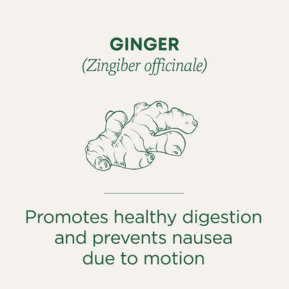 Traditional Medicinals Organic Ginger, 96 Tea Bags
