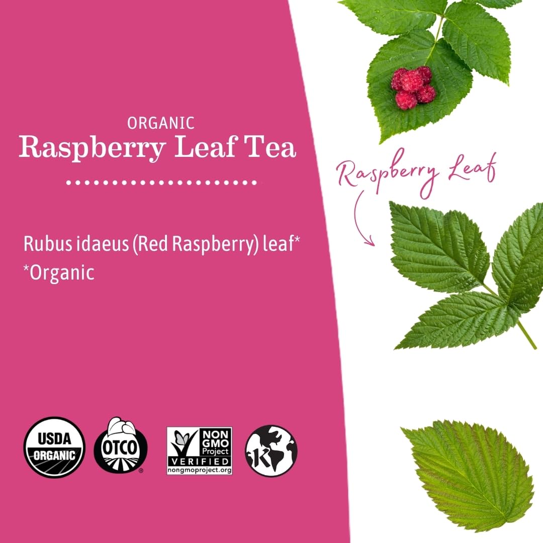 Earth Mama - Organic Raspberry Leaf Tea - 48 Teabags