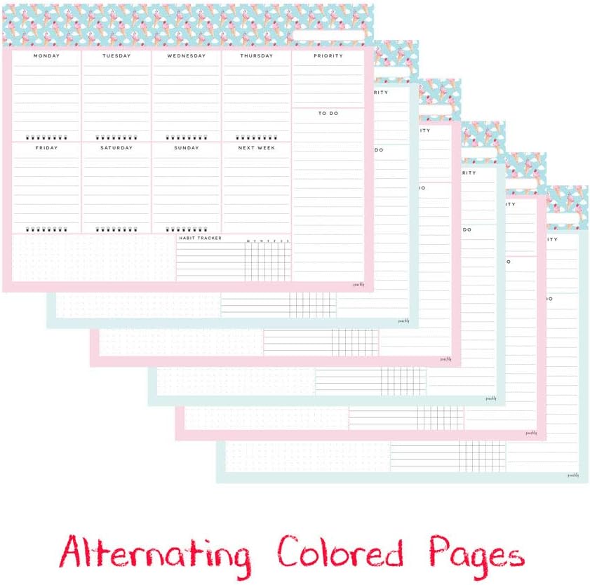 Peachly Desktop Weekly Planner Notepad | 60 Undated Tear-Off Pages | Schedule Daily To-Do Lists | Increase Your Productivity In Less Than 5 Minutes A Week | Achieve Your Goals | Peach and Mint Fern