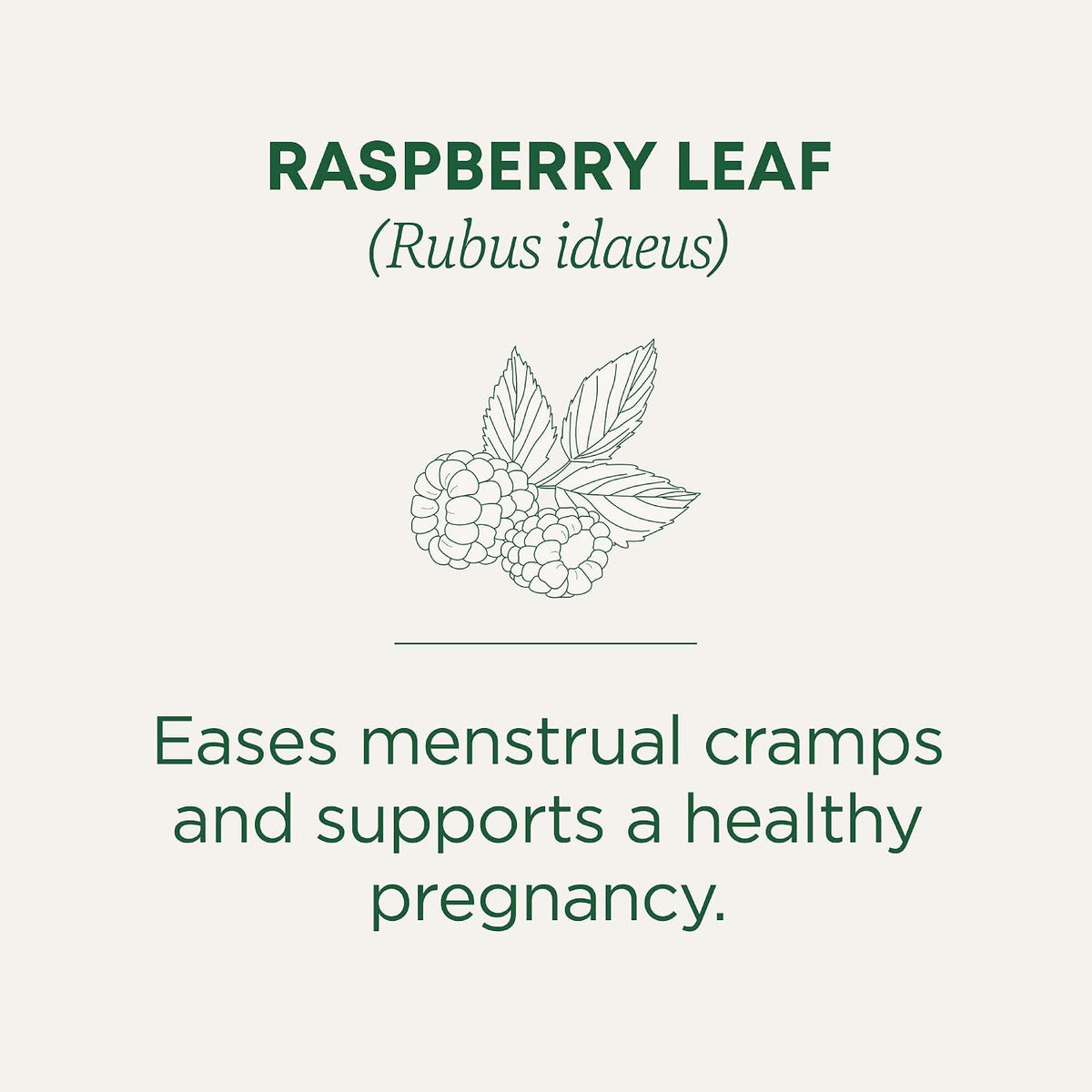 Traditional Medicinals Organic Raspberry Leaf, 96 Tea Bags