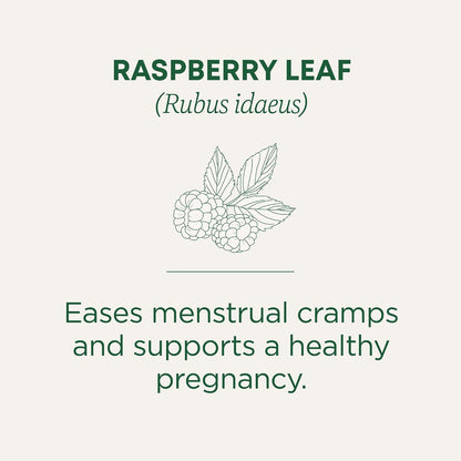 Traditional Medicinals Organic Raspberry Leaf, 48 Tea Bags