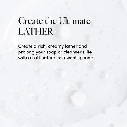 LATHER - Natural Sea Wool Sponge, 5-6" - Organic Exfoliating Body Scrubber - Soft, Gentle Cleansing - Hypoallergenic - All Skin Types - Florida Natural Loofah Sponge - Cruelty Free - Beauty & Skincare
