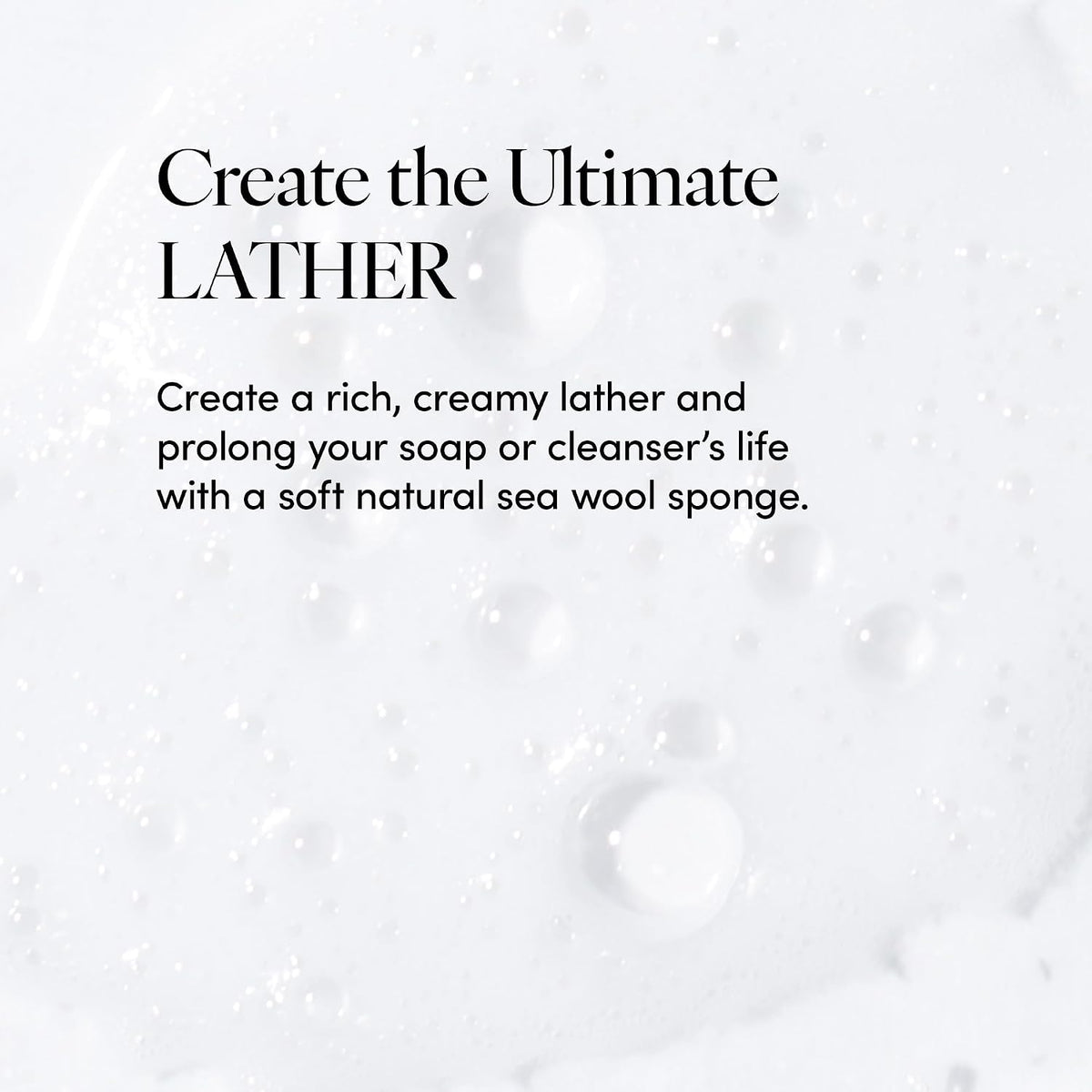LATHER - Natural Sea Wool Sponge, 5-6" - Organic Exfoliating Body Scrubber - Soft, Gentle Cleansing - Hypoallergenic - All Skin Types - Florida Natural Loofah Sponge - Cruelty Free - Beauty & Skincare