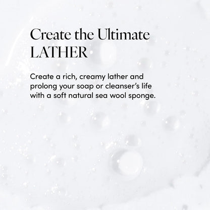 LATHER - Natural Sea Wool Sponge, 5-6" - Organic Exfoliating Body Scrubber - Soft, Gentle Cleansing - Hypoallergenic - All Skin Types - Florida Natural Loofah Sponge - Cruelty Free - Beauty & Skincare