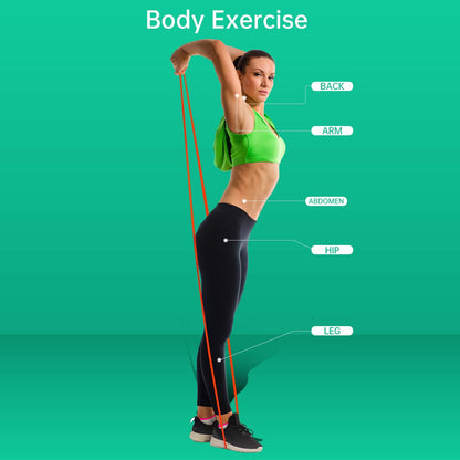 WIKDAY Resistance Bands for Working Out, Exercise Bands, Workout Bands, Pull Up Assistance Bands for Body Stretching Training Physical Therapy Muscle Training for Men & Women