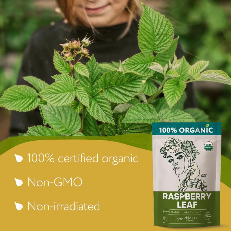 Organic Lemon Balm Leaves (4oz.) - Lemon Balm Tea Loose Leaf Organic - Melissa Tea - Te de Tolonjil - Natural Support for Stress Response, Sleep, Digestion