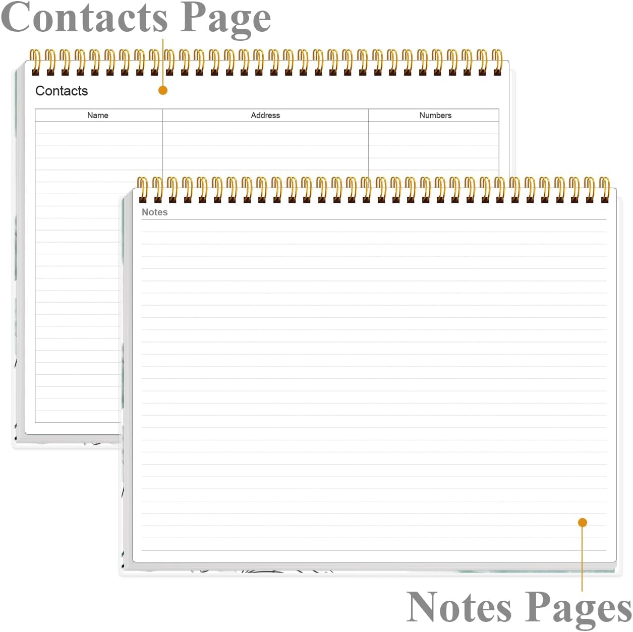 Weekly Productivity Planner - 8.5" x 11" Dashboard Desk Notepad Has 6 Focus Areas to List Tasks for Goals, Projects, Clients, Academic or Meal-Organize Your Daily Work Efficiently, 54 Weeks, Green