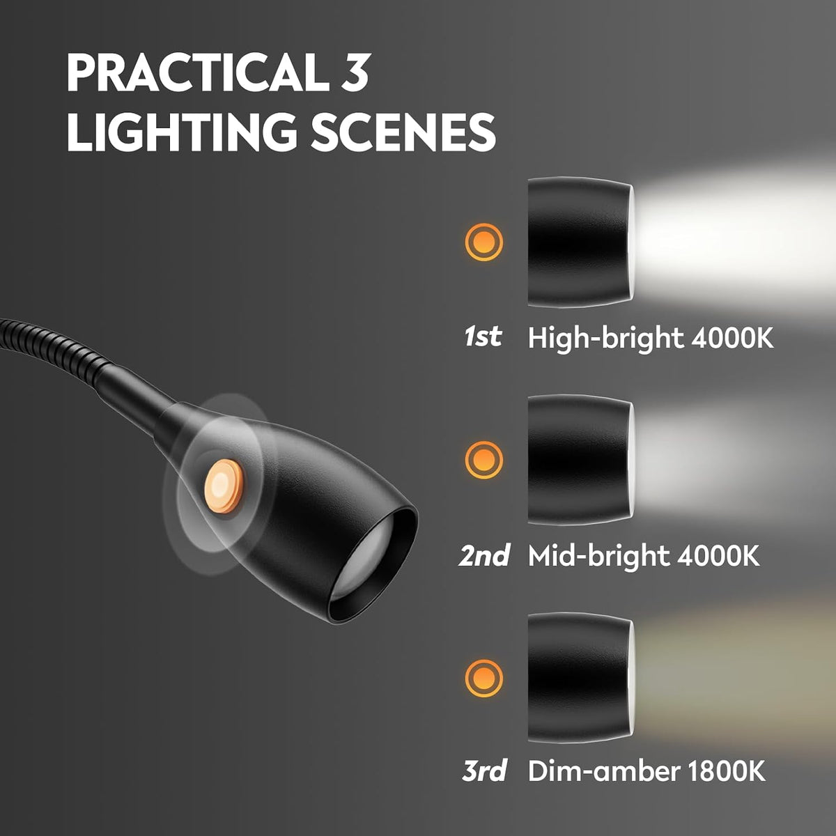 acegoo Wall/Headboard Mounted Reading Light with Handy Head Switch