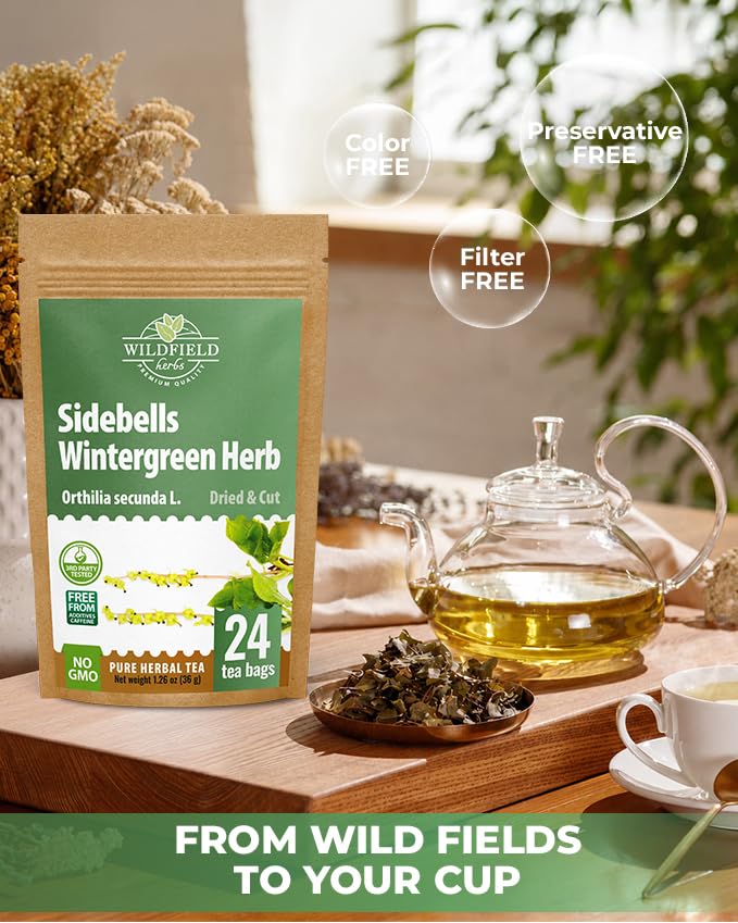 4 oz. Milk Thistle Herb Dried Milk Thistle Herbal Tea (Silybum Marianum) - 113g Herb Tea Cardo Mariano