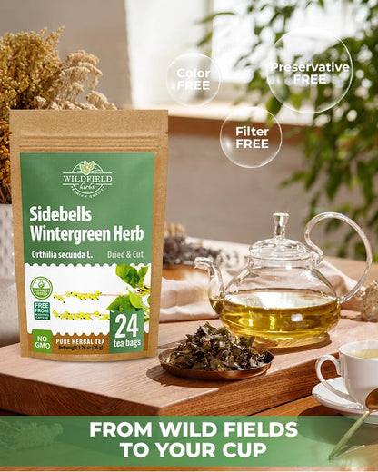 4 oz. Milk Thistle Herb Dried Milk Thistle Herbal Tea (Silybum Marianum) - 113g Herb Tea Cardo Mariano