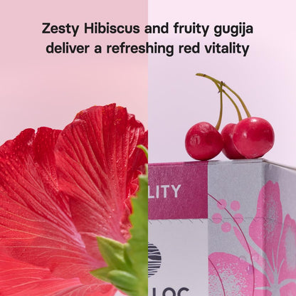OSULLOC Hibiscus Gugija Herbal Tea with Goji Berry, 1.27 oz