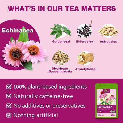 EnrychLeafo Echinacea Herb Tea with Goldenseal & Elderberry- 50bags
