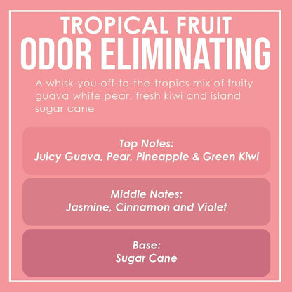 Vanilla Bean Odor Eliminating Highly Fragranced Candle - Eliminates 95% of Pet, Smoke, Food, and Other Smells Quickly - Up to 80 Hour Burn time - 12 Ounce Premium Soy Blend - Colors A