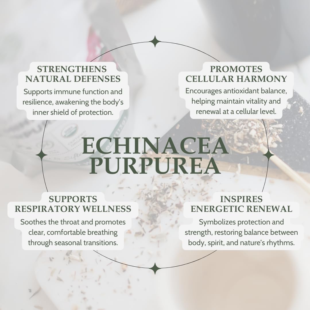 Organic Echinacea Purpurea 4 oz. (113g), USDA Certified Dried Echinacea Tea, Premium Quality Herb, Purple Coneflower, Cut & Sifted