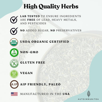 Organic Green Tea Loose Leaf Tea Bags – Energy Blend, Cortisol, Spearmint, Lemongrass, Ginkgo, Focus, Adrenal Support, AIP Herbal Energizing Blend for Cognitive Function, 15 Count
